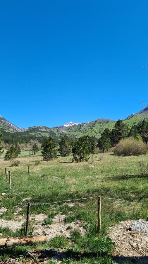 Apartmani Masic Trebinje Exteriör bild